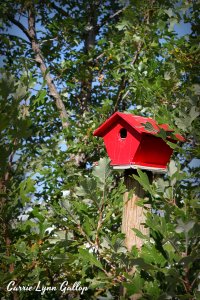 Red Birdhouse - vingette w sign